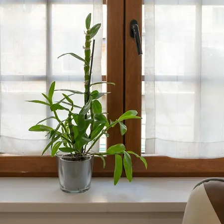 شقة La Casa De Loli *